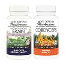 Bundle Host Defense dengan MycoBotanicals Brain * Capsules, 60 Count & Cordyceps Capsules, 60 Count - Dukung Memory & Focus - Dukung Imune Health & Energy