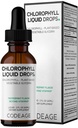 Codeage Chlorofil Liquid Drops Supplement - Vegan Chlorophyll 50 mg per Serving, Organik Peppermint Flavor Clorofila Drink - Non-GMO, Gluten- Free, Vegan - 2 flfl oz