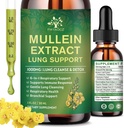 (2 Pack) 6 Dalam 1 Mullein Drops for Lungs, Organik Mullein Ekstture Pengekangan Leaf untuk Lungs, Detox Cleanse & Respiratory for Breathing Health, Mullein Oil Suppplement Immune Dukungan, Vegan, 1 Fl Oz