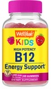 Welly Vitamin B12 Gummies for Kids - Boost Energy, Impreve Brain Function, and Strengthen Immune System - Non-GMO, Gluten- Free - Great Tasting Berry Flavor - Mudah Chew - 60 Gummies