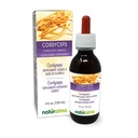 Mordalma Cordyceps (Cordyceps sinensis) Fungus atau Mushroom Alcohol- Free Tincture - 4 fl oz Liquid Extract in Drops - Herbal Supplemen - Vegan