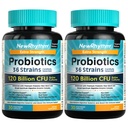 Produksi NewRhythm 120 Billion CFU 36 Strains, 3-in- 1 Programs for Digetical Health & Imune Dukungan dengan Pregories & Enzymes, Probioticos bagi Perempuan & Men, Vegan Targeted Rilis Suplemen, 60ct