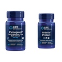 Ekstensi Hidup Pycnogenol French Maritim Pine Bark & Gotu Kola Arteri Suplemen Kesehatan - 60 & 30 Vegetarian
