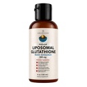 AMANDEAN Lipomal Glutathione Suplemen. Pendukung kekebalan, Kesehatan Otak, Detox Liver, Kesehatan Kulit. Foshatidylcholine dari Lecithin Bunga Matahari N- GMO. Bebas & Vegan.