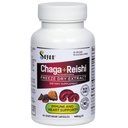 Sayan Siberian Chaga and Organic Reishi Mushroom Extractions Suplement - 90 Capsules / 440mg Masing-masing - Wild- Waldered, Antioksidant Blend for Immune System Dupport + Natural Energy Boost, Non-GMO, Gluten Free