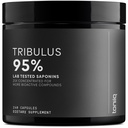 Tribulus Terrestris for Men - Ultra High Potency 25: 1 Ekstrak dengan 95% Saponins - 1300mg Pure & konsentrasi Formula - Third- Lab Partai Diuji untuk kemurnian & Kualitas - 240 Kapsul