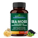 SANDHUHERBACS Laut Moss Kapsul dengan Hitam Benih Minyak Ashwagandha Ginger Burdock Root 12.4; Advanced Seamoss 60 Count 124; All Men Women Age