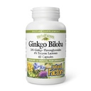 HerbalFactors by Natural Factors, Ginkgo Biloba, Supports Memory, Mental Performance and Healthy Brain Fungsi, 60 kapsul (60 porsi)