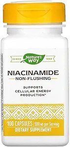 Nature 's Way, Niacinamide, 500 mg, 100 Kapsul