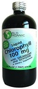 Clorophyll Liquid Organisasi Dunia dengan Spearmint, 16 Fluid Ounce