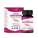 Shatavari 120 Tablets 134; Asparagus Racemodus (Shatavari)