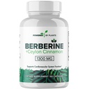 Suplemen Berberine Murni - 1300mg Berberine dengan Cinnamon Ceylon untuk Metabolisme & Dukungan Sistem Imune - 60 Servis