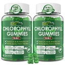 Chlorofil Gummies, Super Green 18-In- 1 dengan Organik Chlorella Spirulina, Wheat Grass, Magnesium, Prebiotic Fiber untuk Internal Deodoran *, Comfort Diatle, Metabolisme, Imune, Tubuh Segar Odor, 2PACK