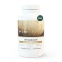 EcoNugenics Ten Mushroom Suplement: Dukungan Harian, 120 Kapsul - Mane Singa, Reishi, Cordyceps, Turkey Tail - Energi, Kesehatan Gut, Hati, Kidney, Cholesterol & Nootropic Brain Support