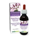 Natualma Afrika Selatan Pelargonium atau Umckaloaba (Sidoides Pelargonium) Root Alcohol- Free Tincture - 4 fl oz Liquid Extract in Drops - Herbal Supplemen - Vegan