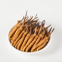 Wild Cordyceps, Whole Himalaya Cordyceps Sinensis Mushroom, Genuine dan Very Re, High Grade, Boost Energy, Mengurangi Stress for Men and Women, 5 Grams (13 + 17pic) dari Lamjung Nepal Keeda Zadi