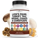 Lions Mane Mushroom Suplemen dengan Turkey Tail Reishi Cordyceps Chaga dengan Marshmallow Root - 1 - Pack