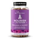 Suplemen Lactation Nsteating - Dukungan Postpartum untuk Susu Sehat & Produksi - Lenugreek Kasules untuk Perempuan dengan Thistle Milk, Benih Fennel & Organik Moringa, 60 Vegan Soft Capsules