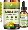 (2 Kemas) 98% Pelecehan Mullein Drops untuk Lungs, 5 yang kuat dalam 1 Mullein Leaf Herbal Blend Ekstrak, Support Natural Lugs for Lungs Cleanse & Detox and Respiratory Lung Health