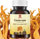 Cordyceps Capsules, Mushroom Extract Powder dengan 31% Beta Glucan untuk Performance, Energy and Immune System Dukung, 700mg, 60 Count, Organik dan Vegan