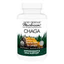 Pelindung Host Chaga Capsules - Suplemen Dukungan Sistem Imune - Chaga Mushroom Capsules untuk Dukungan Aktivitas Antioksidant - Suplemen Jamur Diet - 120 Capsules (60 Pelayan) *