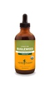 Herb Pharm Bugleweed Extract for Endokrine System Support - 4 Ounce