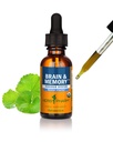 Herb Pharm Organic Nootropic Brain & Memory Suplement with Ginkgo Biquid Extract: Absorpsi Cepat untuk Mental Focus Support, Vegan, Gluten- Free, Non-GMO, 1 Oz