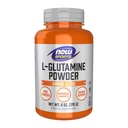 Sekarang Makanan L- Glutamine Pure Powder 6 Oz