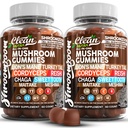 15in1 Mushroom Gummies dengan Lion 's Mane Turkey Tail Cordyceps Reishi Chaga Sweet Take Meishima Poria Cocos Shiitake Tremella, Oyster Agaricus Mashroom for Men and Women Suplemen - 2Pack