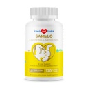 Sama dengan Dogs - 120 Chemble Tablets - S-Adenosyl- L- Methionine, Liver Suplemen - Kesehatan Otak, Dukungan Kognitive Promosi, Dukungan Hati (Tablet Sama)