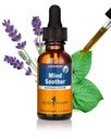 Herb Pharm Anxiety Soother Cair Herbal Formula dengan Kava Untuk Dukungan Sistem Gugup - 1 Ounce