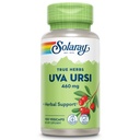 SOLARAY Uva Ursi Leaf 460 mg 124; Healthy Bladder, Kidney & Urinary Tract Fungsi Dukung: Non-GMO 124; 100ct (Take 3 Daily)