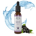 Treasure Lymphatic Harmony Drops - 2oz, 30 Hamba, Lymphatic Suplemen dengan Cleavers, Burdock, Echinacea, dan Astragalus