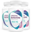 Berberine HCL Suplemen 1500mg - High Biovability Lipomability Lipomability untuk Perempuan dan Pria, AMPK Activator for Cardiovascular Health, Sugar- Free, Non-GMO, 180 Softgels
