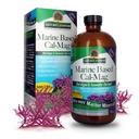 Nature 's Jawaban Marine Berdasarkan Kalsium Magnesium, Vanilla Cream, 16- Ounce 124; Natural Ammune Dukungan Ammuniune; Mempertahankan Tulang Sehat 124; Kemungkinan Hati Kesehatan 124; Dukungan Fungsi Muscular