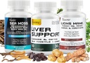 Sea Moss, Black Seed Oil, Mushroom & Herb Suplemen dengan Lions Mane, Turkey Tail, Reishi, Cordyceps, Chaga, Dan Liver Cleanse dan Detox & Repair - dengan Milk Thistle, All In One Suppplement (3 Paket).