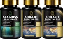 Sea Moss and Shilajit Capsules for Men & Women, All in 1 Suplemen with Shilajit, Sea Moss, Coenzim Q10, Benih Hitam, Ashwagandha, Burdock for Energy, Antioksidant & Imune Support