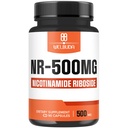NAD + Tambahan dengan Nicotinamide Ribside 500mg - Cellular Energy & Repair, Healthy Aging, Wellness - 90 Capsules - 3 Bulan Supply