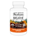 Defense Host Breathe * Capsules - Imune & Respiratory Duplication Mashroom - Herbal Lung Health Suplement with Chaga, Reishi & Cordyceps - 120 Capsules (60 Pelayan)