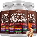 New Age Lions Mane Jamur Tambahan dengan Turkey Tail Reishi Cordyceps Chaga dengan Marshmallow Root 180 Count