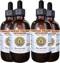 Ekstrak Cair Artichoke, Artichoke Organik (Chakhira jerrymus) Tincture 4x4 oz