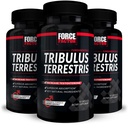 ForCE FacTOR Tribulus Terrestris for Men, 3- Pack, Tribulus Testosterone Booster for Men, Male Vitalitas Supity Extract & Natural Ingreations for Superior Absorpsi, 10000mg, 180 Capsules