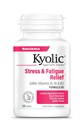 Kyolic Aged Bawang putih Extract Formula 101, Stress and Fatigue Relief, 100 tablet.