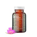 Formula Asli Mengembalikan 3 Protolytic Enzyme & Spore Probiotic Blend Suplement - 60 Capsules - Advanced Biofilm Disruption Aid - Dukung GI Health, Fibromyalgia, Gut Flora, Muscle