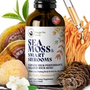 SELAMAT FOX Irish Sea Moss Liquid Drops & Mushroom Taincture - Seamoss with 7 Adaptogenic Mushroom Extrates for Cognitive Duption & Gut Health, Mushroom Coffee Elixir, Pure Vanilla Flavor