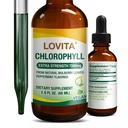 Lovita Chlorofil Liquid Drops, High Potency 120 mg / mL, 7.200 mg per Bottle, Natural Energy Booster & Imune Dukung, Internal Deodoran, Skin Health, Vegan & Non-GMO, Mint Flavor, 60 Service 2 Oz