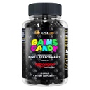 ALPHA LION Gains Candy, Pill Tambahan untuk Pompa Otot dan Pompa Darah, Nitric Oxide Booster, Dukungan Mental Focus, Gunakan Daily to Upgrade Workout Performance, 63 Capsules (Nitroigin)