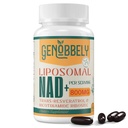 800 mg Lipomal NAD + Tambahan dengan Nicotinamide Riboside 200 mg, Trans- Resveratrol 100 mg - Persediaan NAD Benar untuk DNA Reparent, Penuaan Sehat, Fungsi Otak - Supply 60 Hari