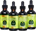 Go Nutrients Cold & Imune Bundle - Selenium, Vitamin D3 / K2, Ammune Booster, Clorofil Liquid - powerful Dukung for Immune System, Strengthens Body Defense, Core and Vitalitas, Reinforce Respiration