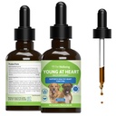 Pet Wellsing Young at Heart for Dogs - Heart Health, Circulation & Cardiovascular System, Hawthorn, Motherwort, Schisandra - Veterinarian- Formulated Herbal Supplemen 2 fli oz (59 ml)